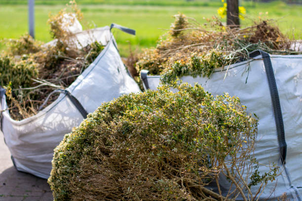 Best Moving and Downsizing Cleanouts  in Cairo, IL